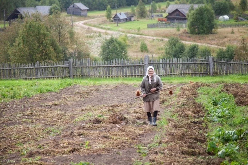 Льготные условия продажи земельных участков муниципальной собственности продлены