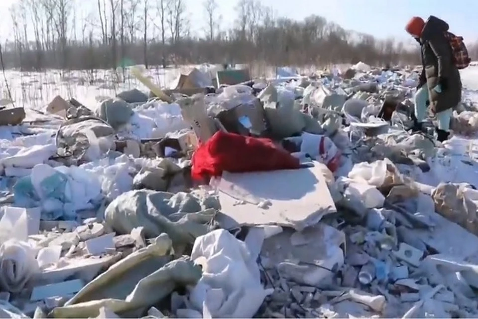 Питомник зарос мусорными свалками. Фото: скриншот с видео