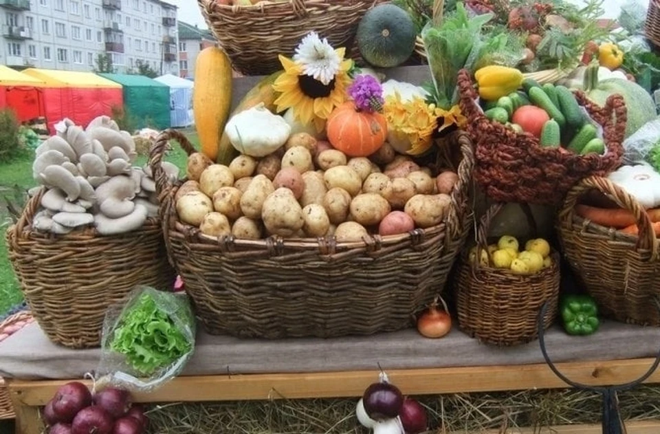 На ярмарках в Симферополе можно купить овощи на 20% дешевле, чем на рыке. Фото: пресс-служба администрации крымской столицы/telegram