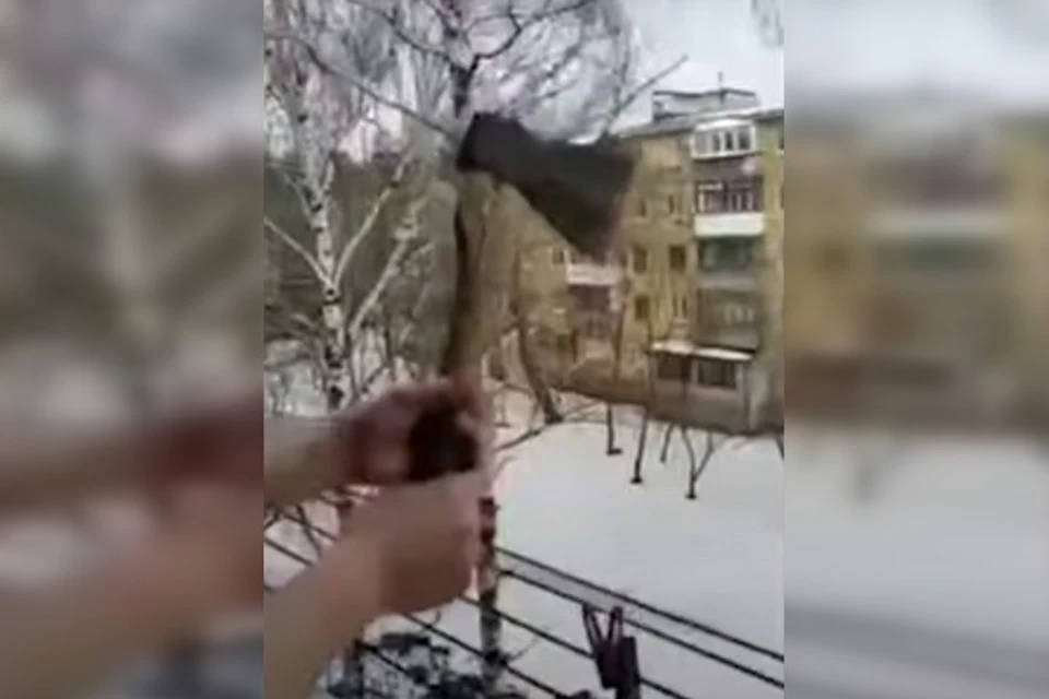 От броска топора по счастливой случайности никто не пострадал. Фото: Скриншот видео ТГ Super Mаrik