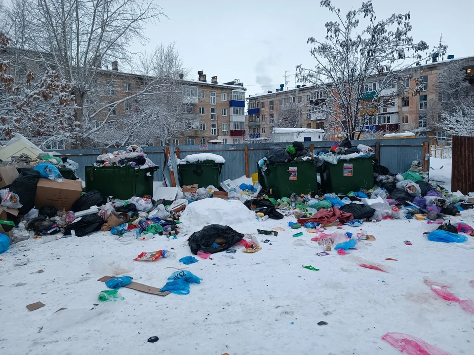 Дворы Самары завалило не только снегом, но и мусором / Фото: Светлана Мальцева