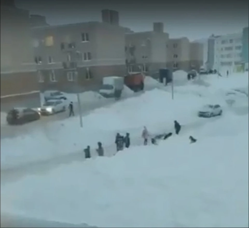 Собаки набросились на ребенка. Фото: скриншот видео "Подслушано Самара"