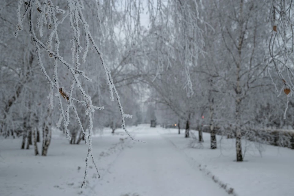 Погода в России опередит климатический ход на 50 дней