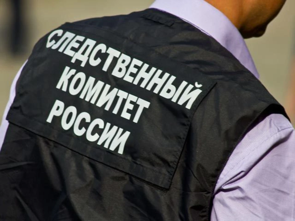 Фото: пресс-служба Следственного комитета