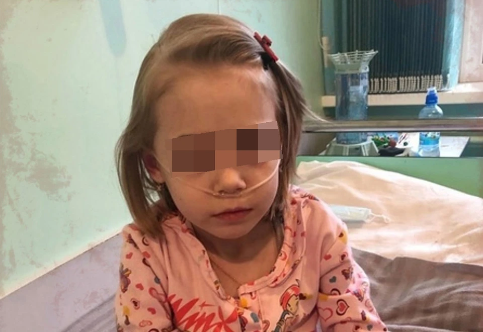 Законопроект «Евы Воронковой» внесен в Госдуму.