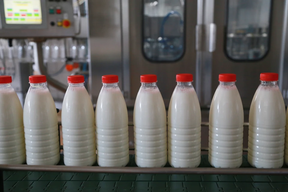 Кубань заняла второе место в России по объемам изготовления молока