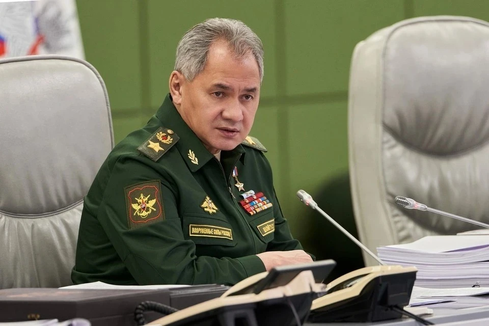 Шойгу обсудил с главой Пентагона международную безопасность