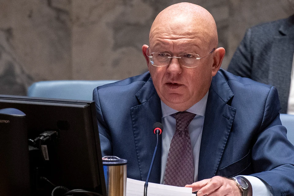 Постпред России при ООН Василий Небензя подтвердил, что целью начавшейся спецоперации является защита подвергавшихся геноциду миллионов людей.