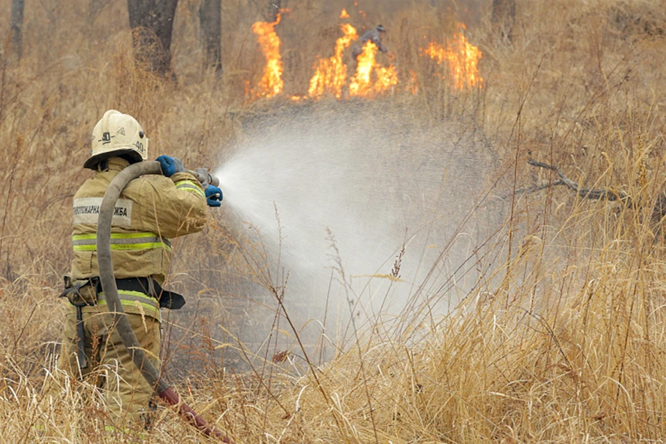 В Приморье усилится контроль за соблюдением правил пожарной безопасности. Фото: пресс-служба правительства Приморья.