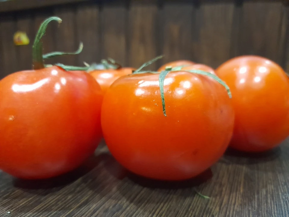 Тюменская дачница поделилась секретом, как вырастить вкусные помидоры из магазинных