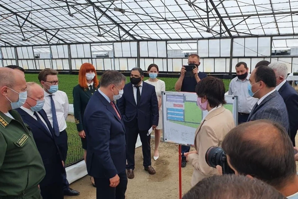 Губернатор региона поддержал идею о создании питомника в Шелехове. Фото: Ксения Геевская.