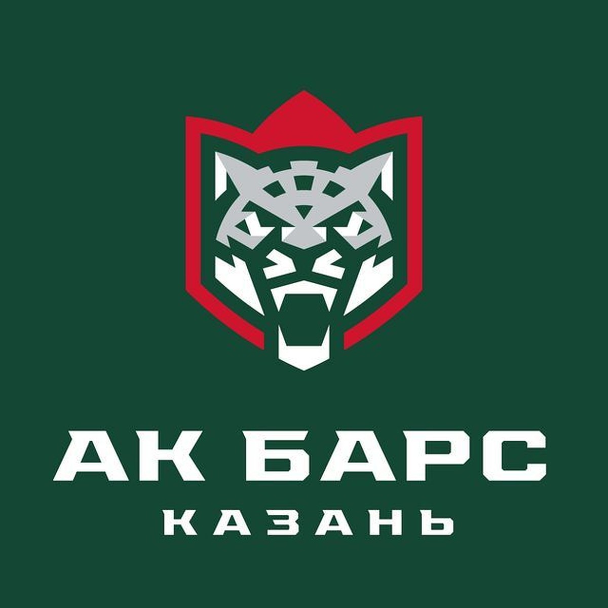 Ак Барс» представил новый официальный логотип и фирменный стиль - KP.RU