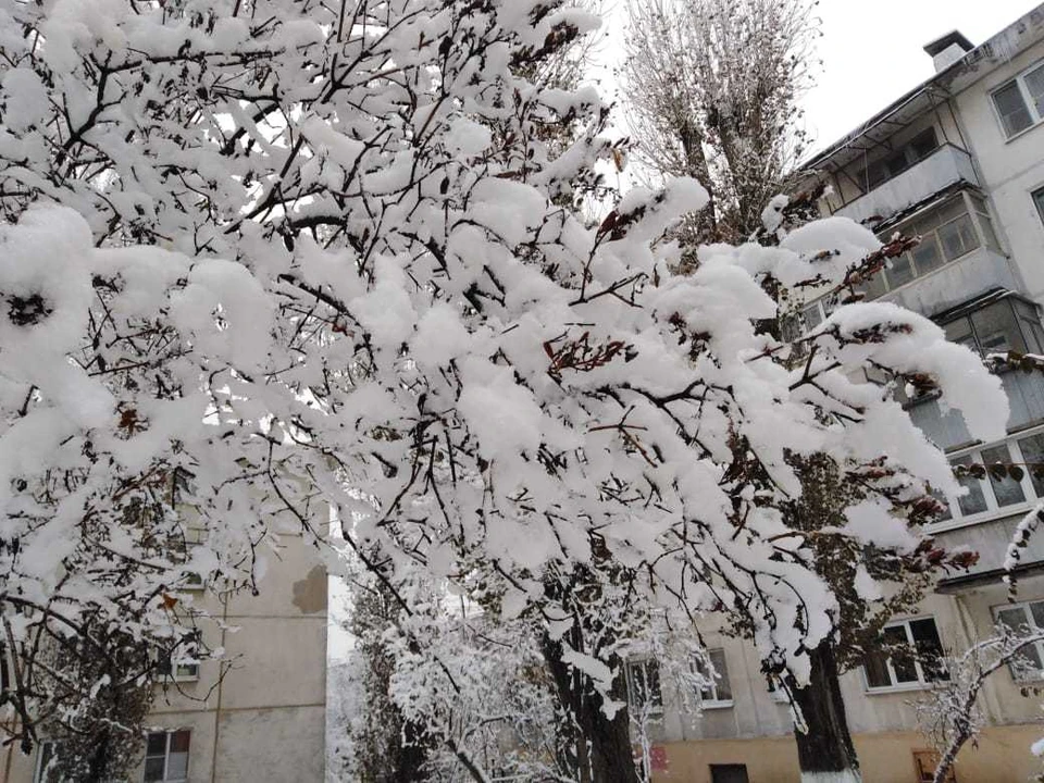 По прогнозам синоптиков, в Белгороде ожидается снег.