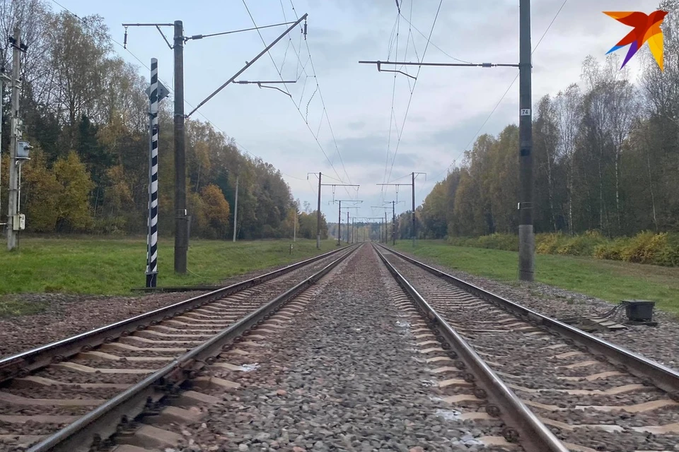 В СК рассказали подробности о расследовании актов терроризма на железной дороге. Фото: Кира ИВАНОВА