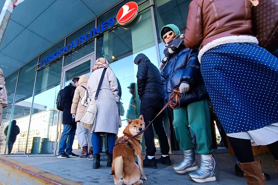 Представительство turkish. Очередь в турецкие авиалинии. Очередь Turkish Airlines. Очереди в Москве сегодня. Очереди в Туркиш Эйрлайнс.