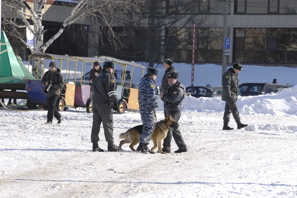 Поиски девочки, пропавшей накануне, закончились.
