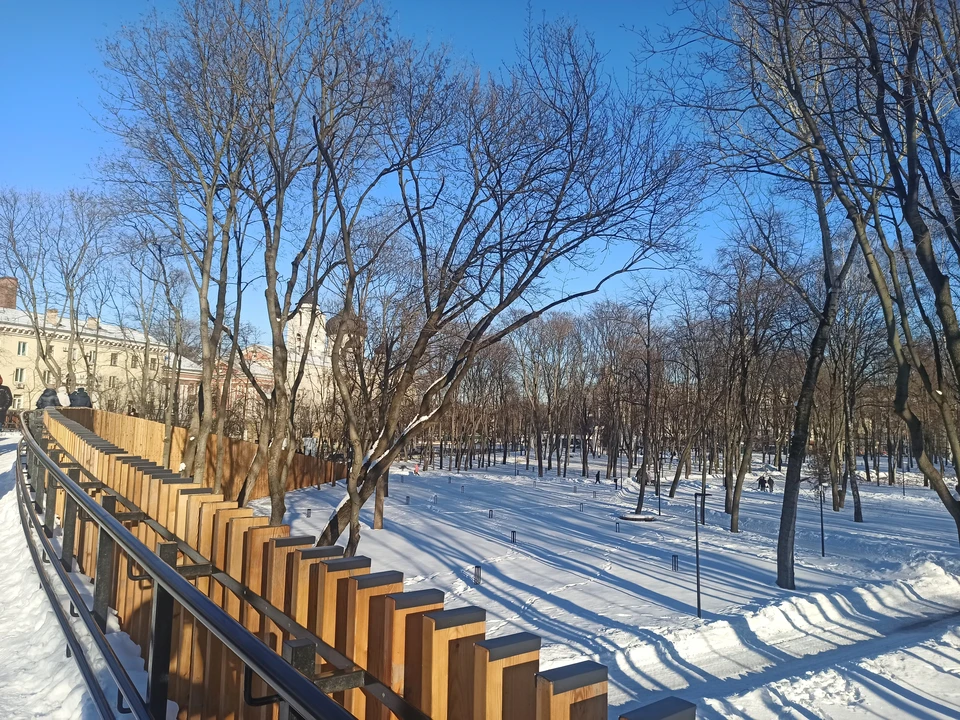 14 марта в Воронеже должно потеплеть. Температура днем составит 0...+2°.