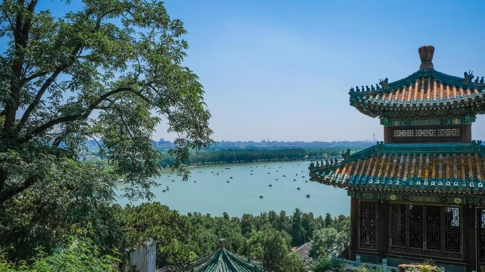 Фото: pexels.com