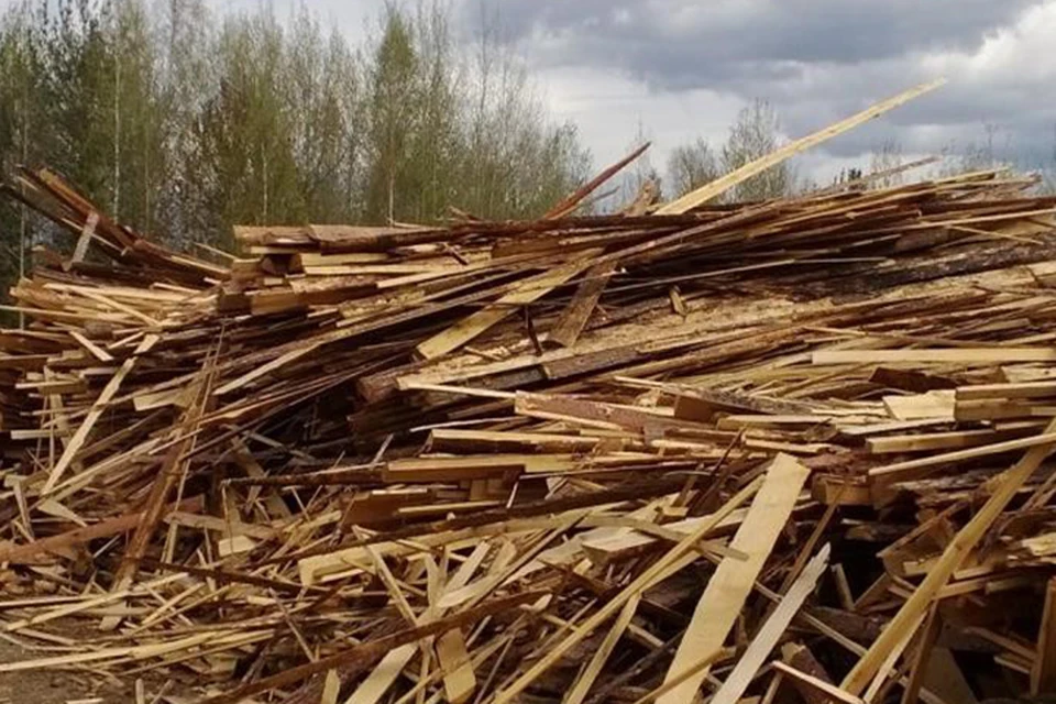 Ущерб от свалки составил 2,8 млн рублей Фото: Минприроды Тверской области