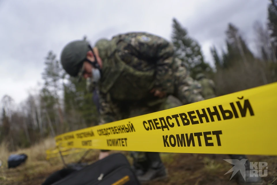 «Пытался уехать от огня на инвалидной коляске»: под Рязанью обнаружили труп 64-летнего мужчины.