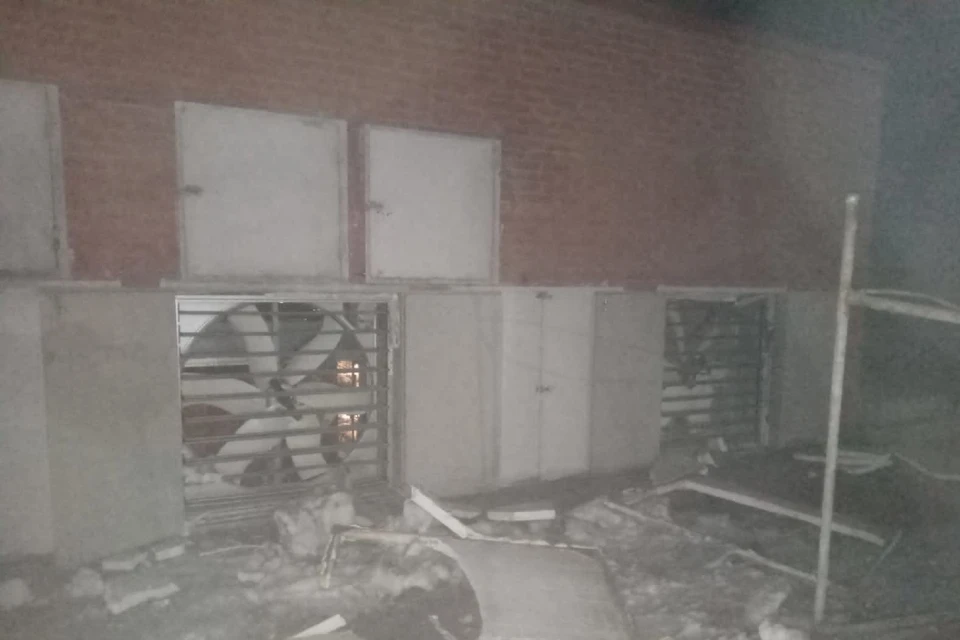 750 цыплят погибли в пожаре на птицефабрике в Евсино - KP.RU