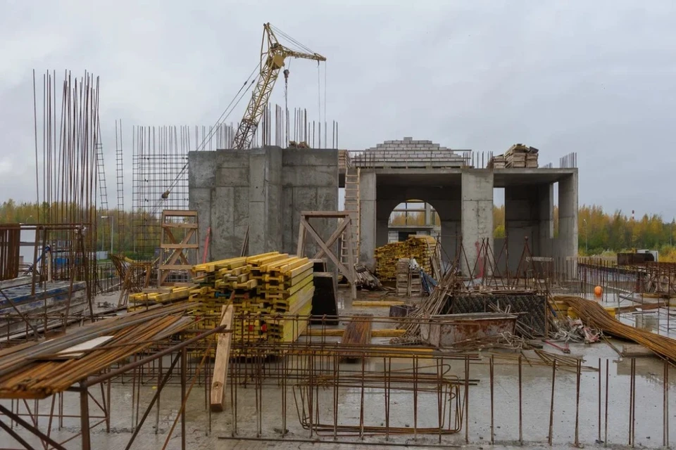 Площадь новой школы в поселке Шушары увеличили с 5 500 до 20 000 квадратных метров