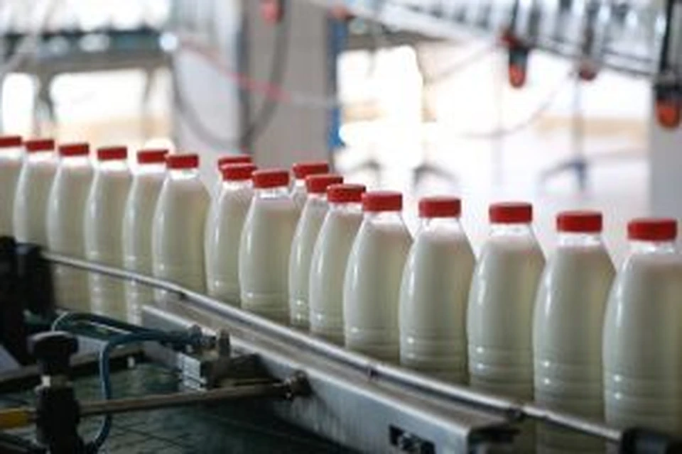 Отрасль молочного производства на Кубани работает стабильно Фото: Мария ЛЕНЦ