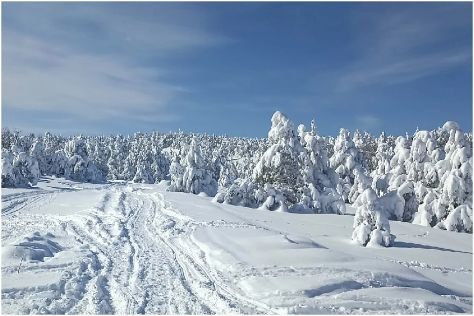 Март на плато Ай-Петри. Фото: Андрей Бачурин/VK