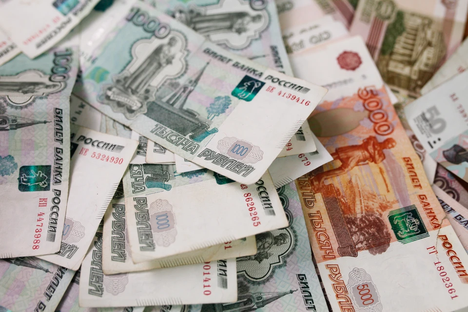 Ежедневно самозанятые зарабатывают 41,5 миллиона рублей