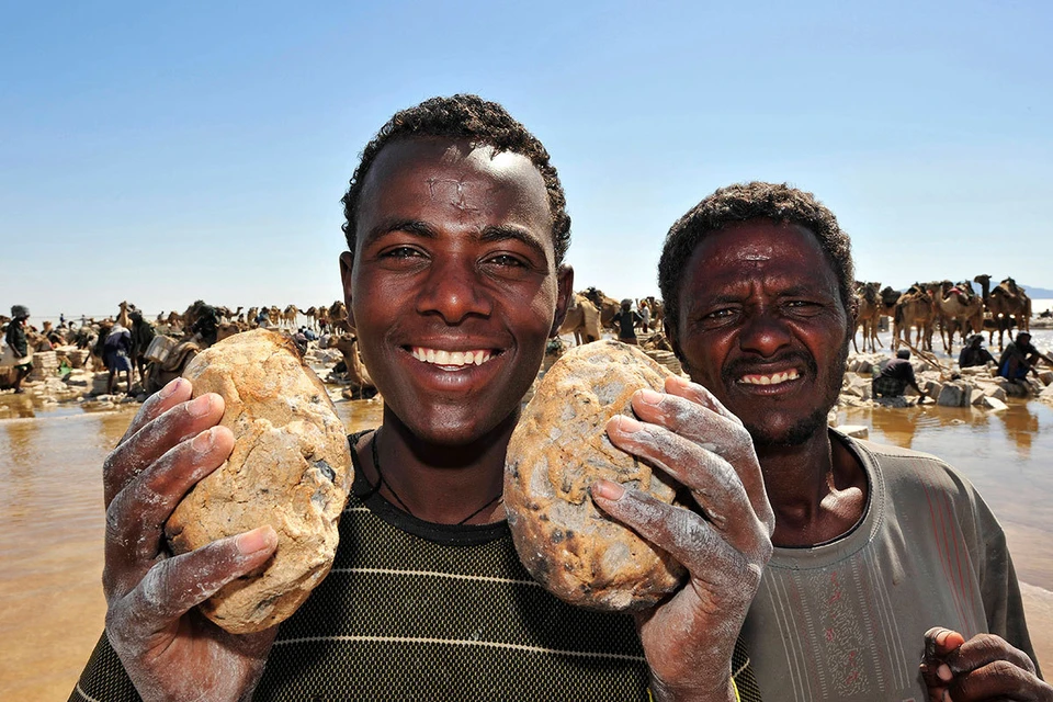 Зерно из нашей страны В Африку продавалось через посредников, нарушение логистических цепочек оставит африканские страны без хлеба.
