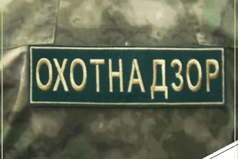 С начала года охотинспекторы Кировской области провели более 300 рейдов. Фото: vk.com/priroda_43