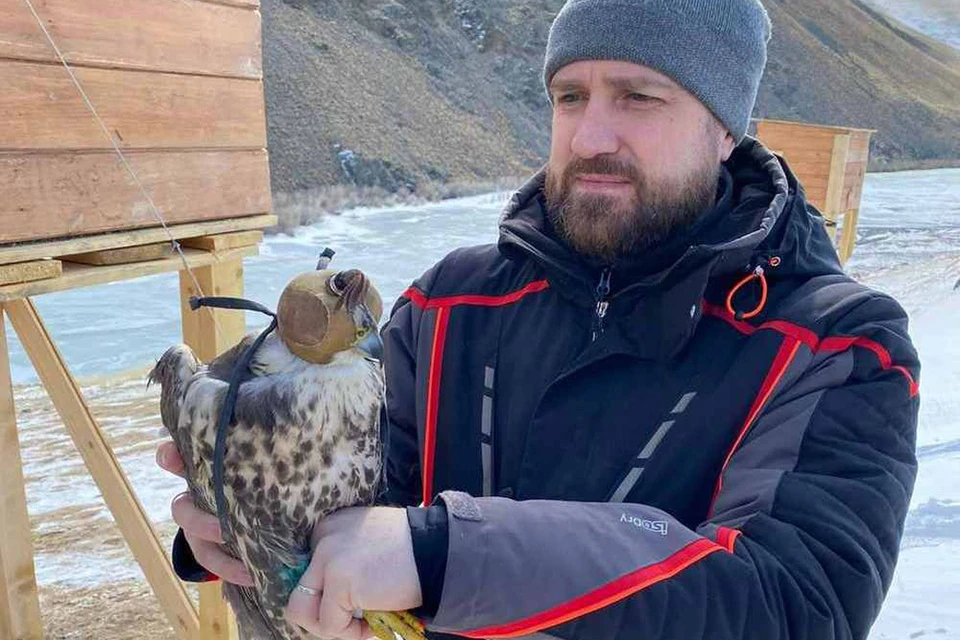 Скоро птицы окажется на своей родине