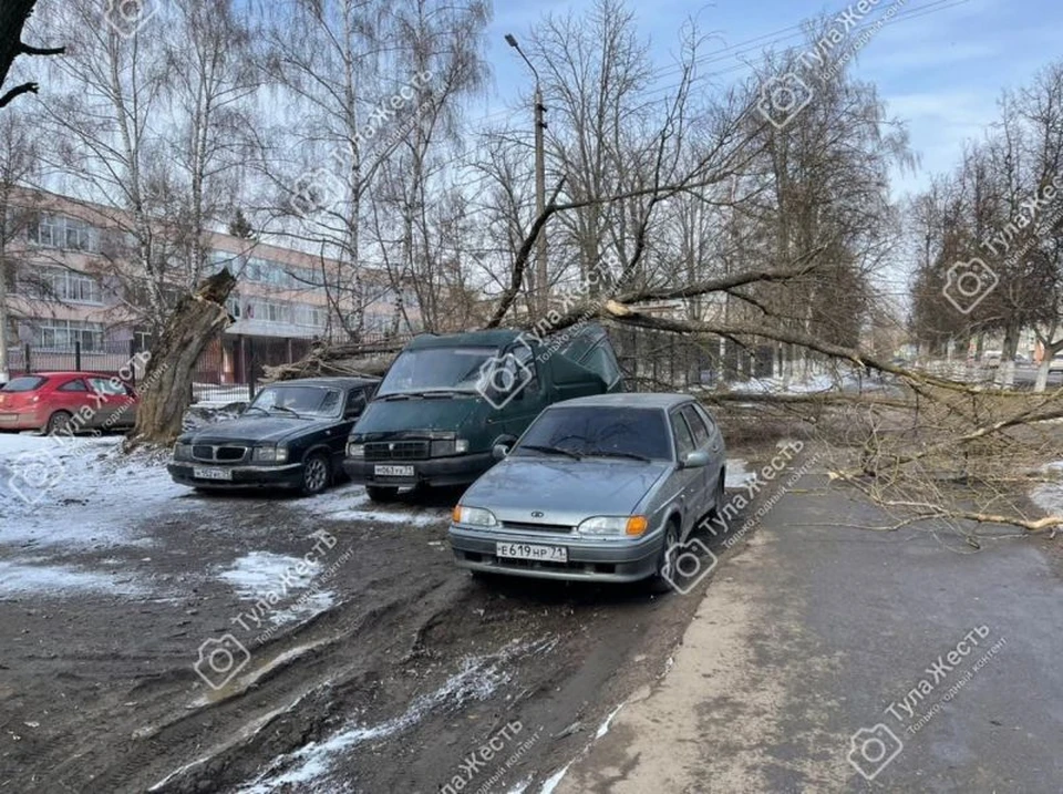 Тула упал. Упало дерево на авто. Машина на улице. Многоквартирный дом двор с машинами. Машина во дворе дома.