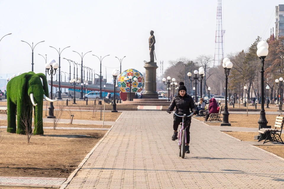 На благоустройство парков, детских площадок и других прогулочных зон городам Амурской области в этом году выделяется 215 млн рублей.