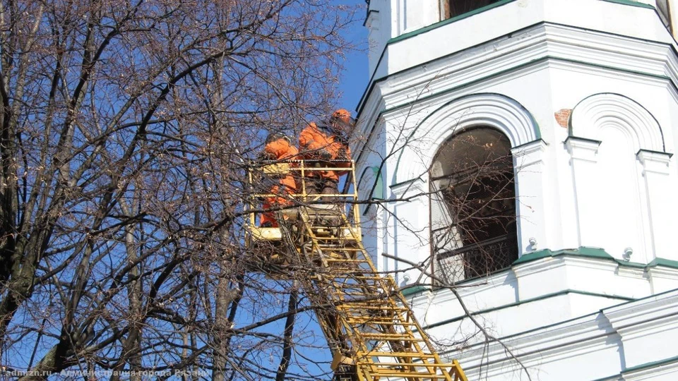 С некоторых деревьев только срезают лишнее. Фото: администрация Рязани.