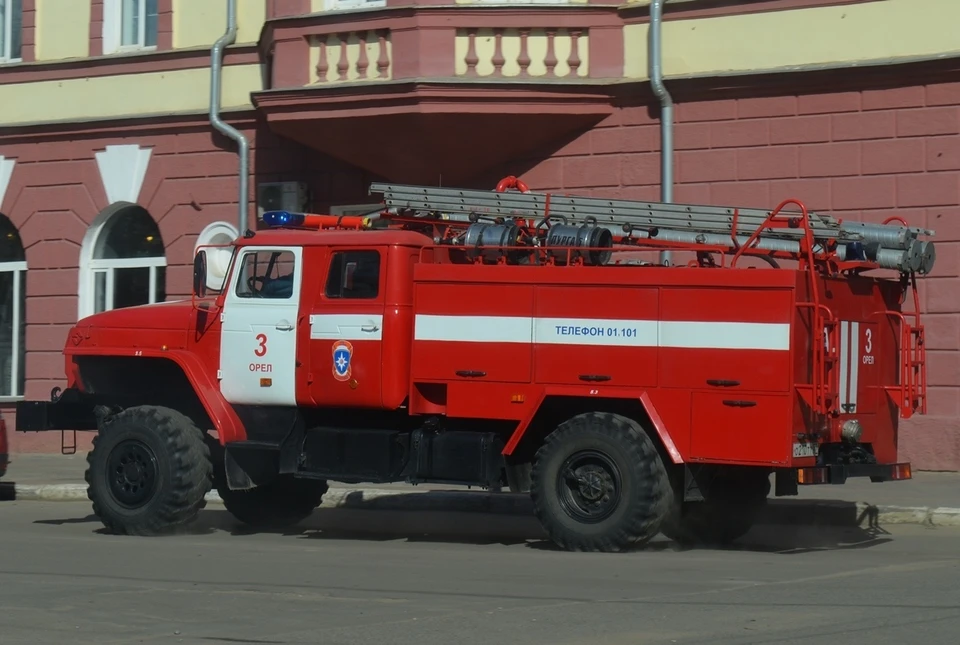 Фото: Ольга СУПОНЕВА (архив "КП")
