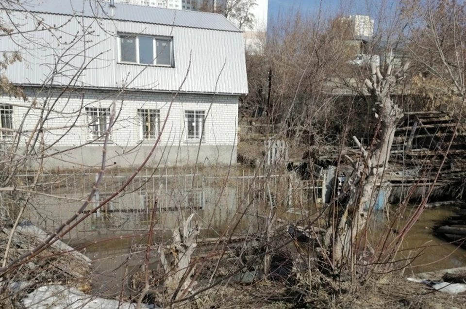 Фото из социальных сетей