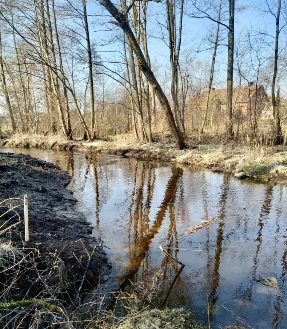 река каменка каменск уральский