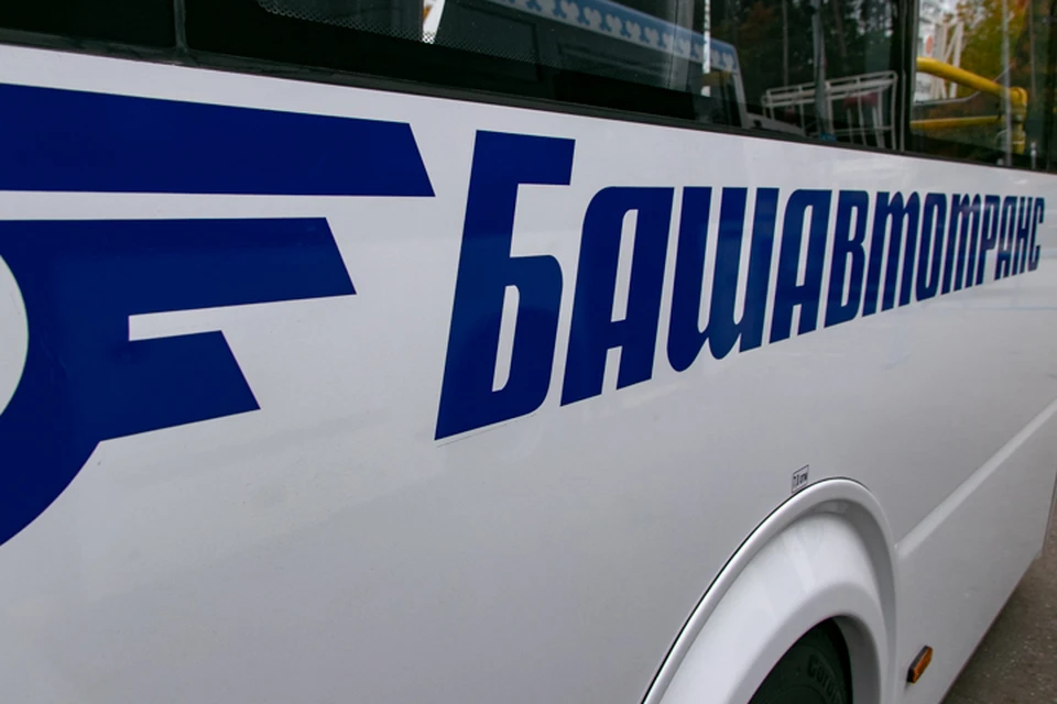 фото: glavarb.ru