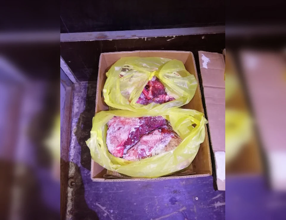 Документов, подтверждающих качество мяса, нарушители предоставить не смогли. Фото: Россельхознадзор Оренбургской области