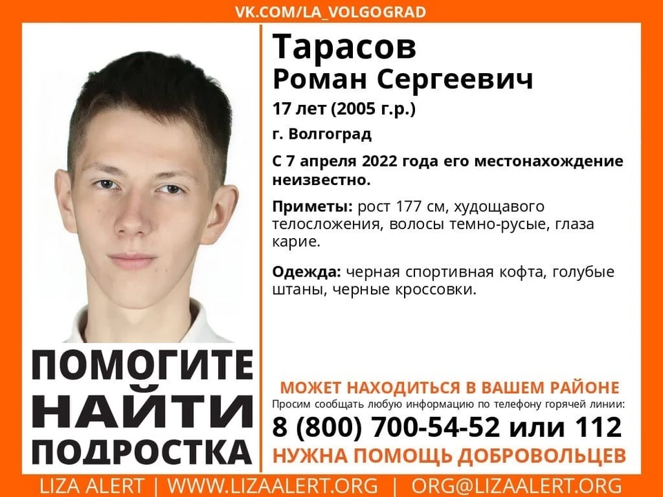 Фото: Лиза Алерт