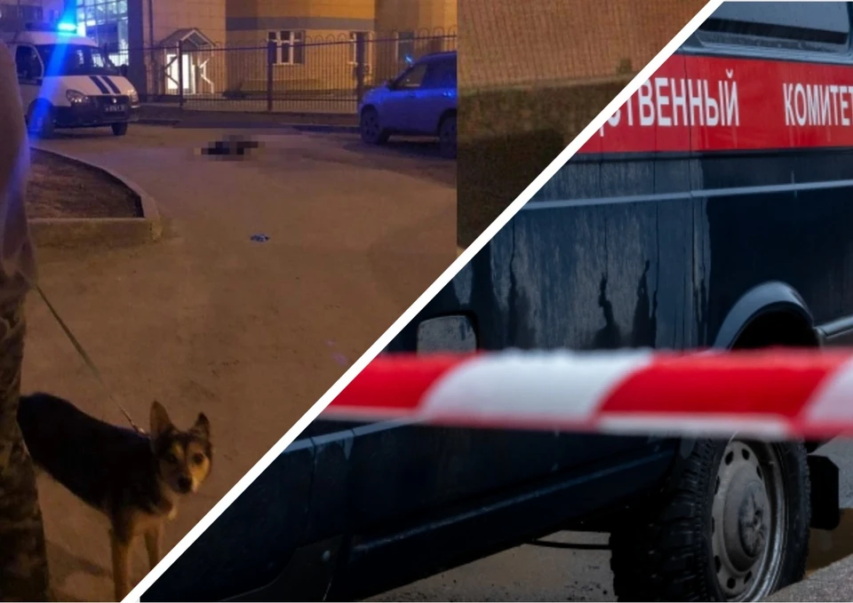 Следователи возбудили уголовное дело после гибели двух мужчин на улице Прибрежной. Фото: "АСТ-54"\Олег Золото