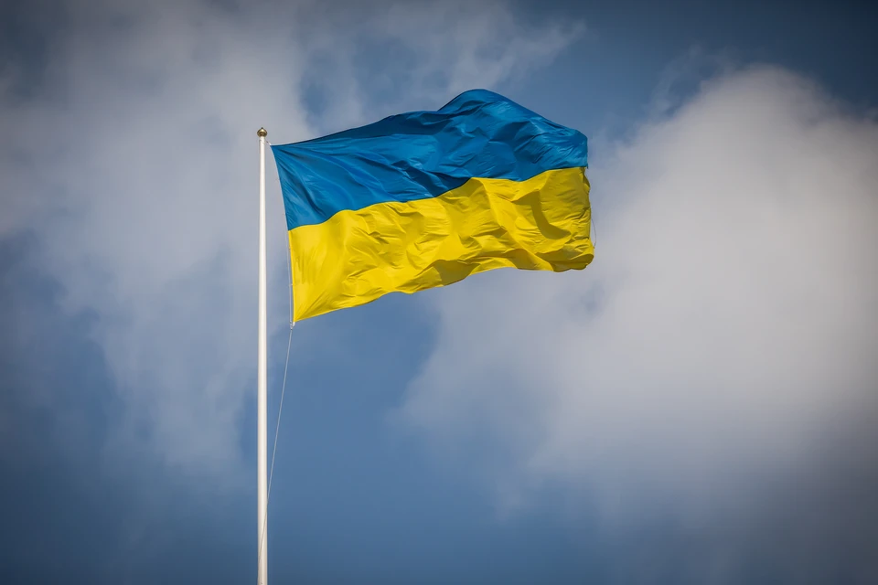Украина попросит Россию выдать экс-депутата Рады Киву
