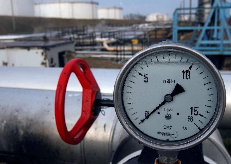 Отказ от российского газа грозит Европе разорением, уверен французский экономист