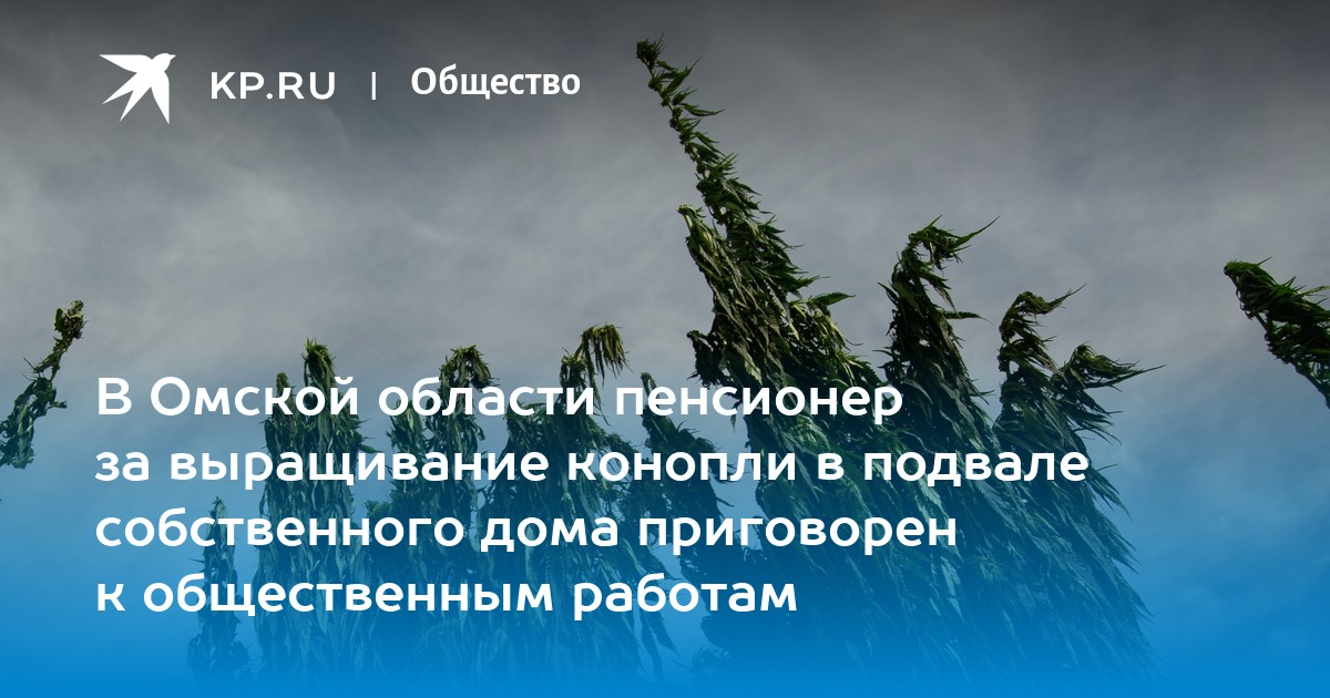 Наказание в россии за выращивание конопли tor browser proxy server is refusing connections