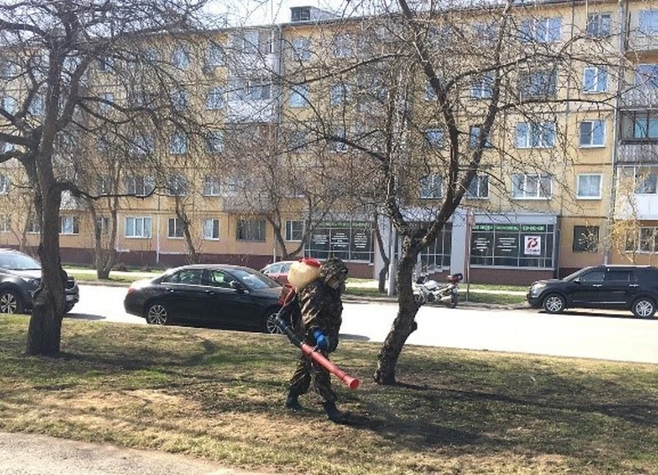 Фото: Администрация города Кемерово.