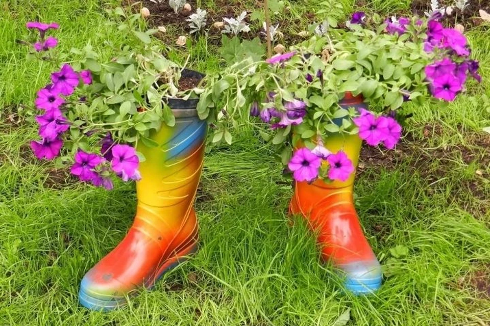 Весна прекрасна хотя бы тем, что все цветет.
