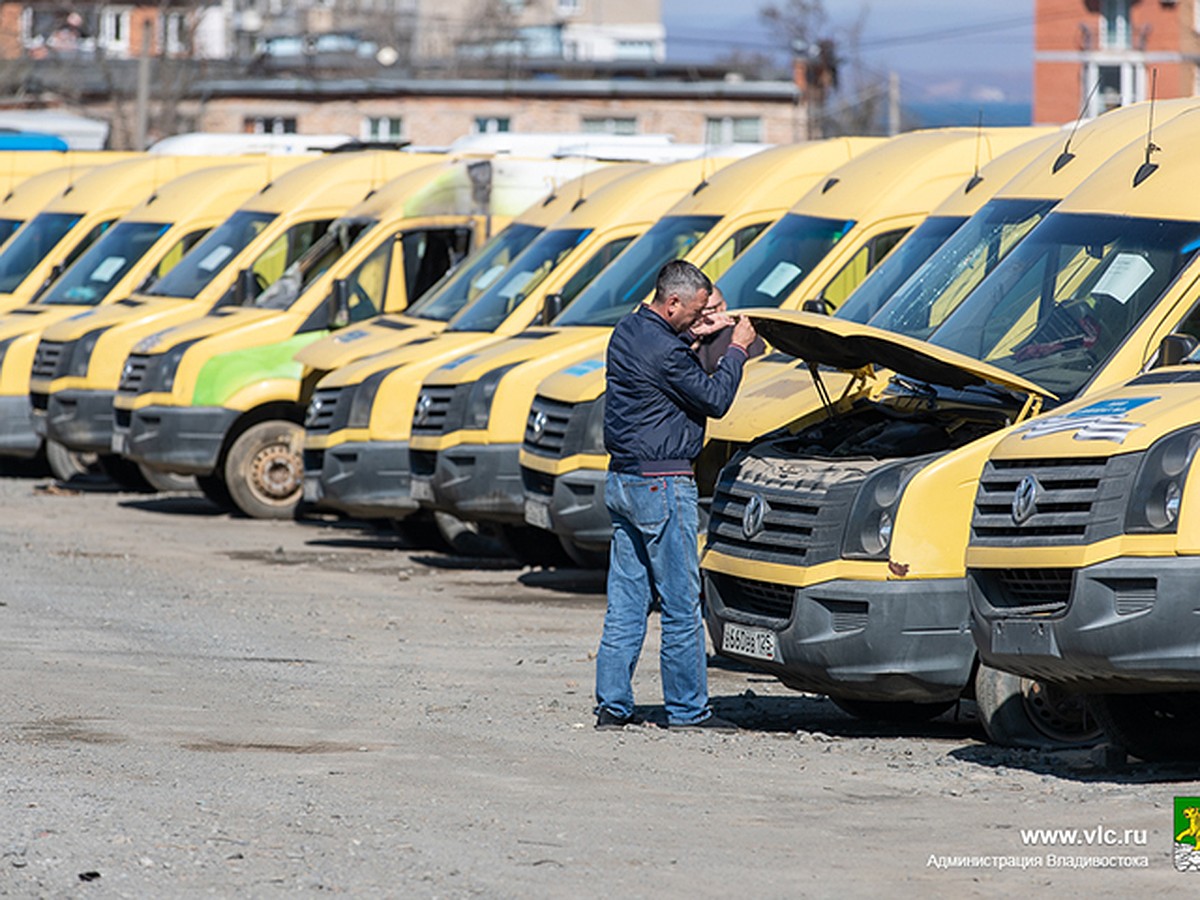 Еще послужат: выставленные на продажу автобусы во Владивостоке показали  покупателям - KP.RU