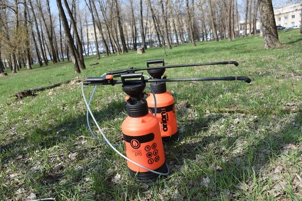 Жителей Белгорода просят не посещать данные парки и скверы во время обработки и в течение трех часов после ее окончания.