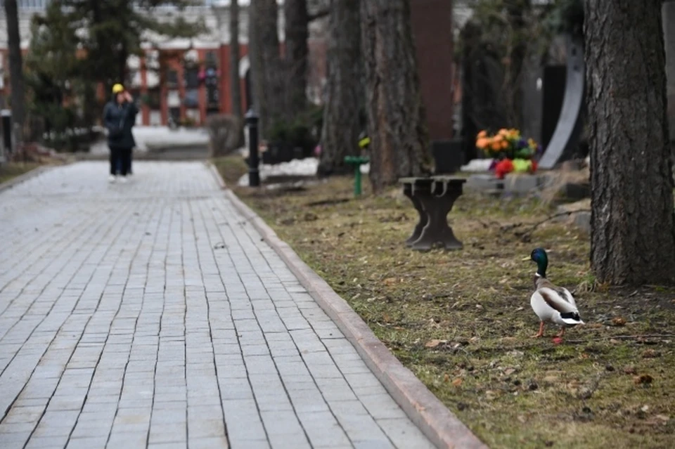 В поминальные дни в направлении городских кладбищ будут ходить дополнительные автобусы